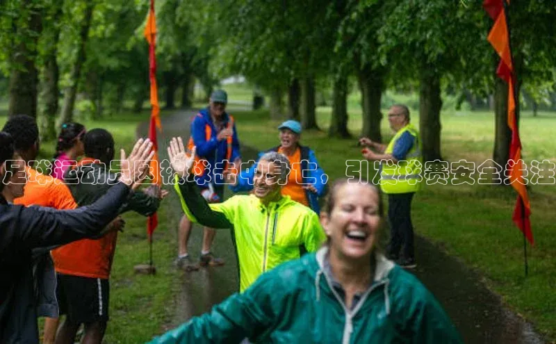 k1体育网站登陆官网百度智能门户足球运动员因被球击中身亡，引发球赛安全关注