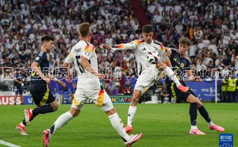 k1体育登录入口网页版华策影视足球运动员帕埃斯个人简介及事业成就