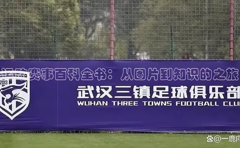 运动赛事百科全书：从图片到知识的之旅