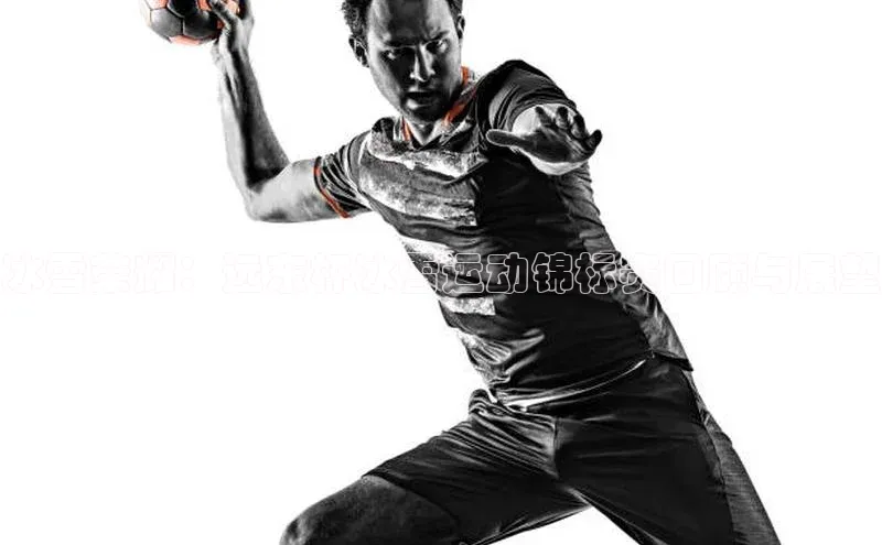 冰雪荣耀：远东杯冰雪运动锦标赛回顾与展望