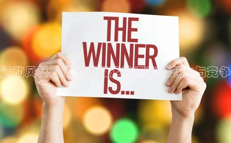 运动风暴：德国顶级运动赛事的魅力与竞争