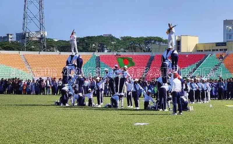 活力佛山：2023年运动会精彩赛事回顾与展望