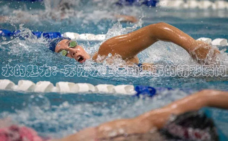 水的魅力：苏州水上运动赛事的精彩瞬间