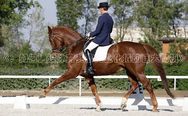 k1体育在线登录